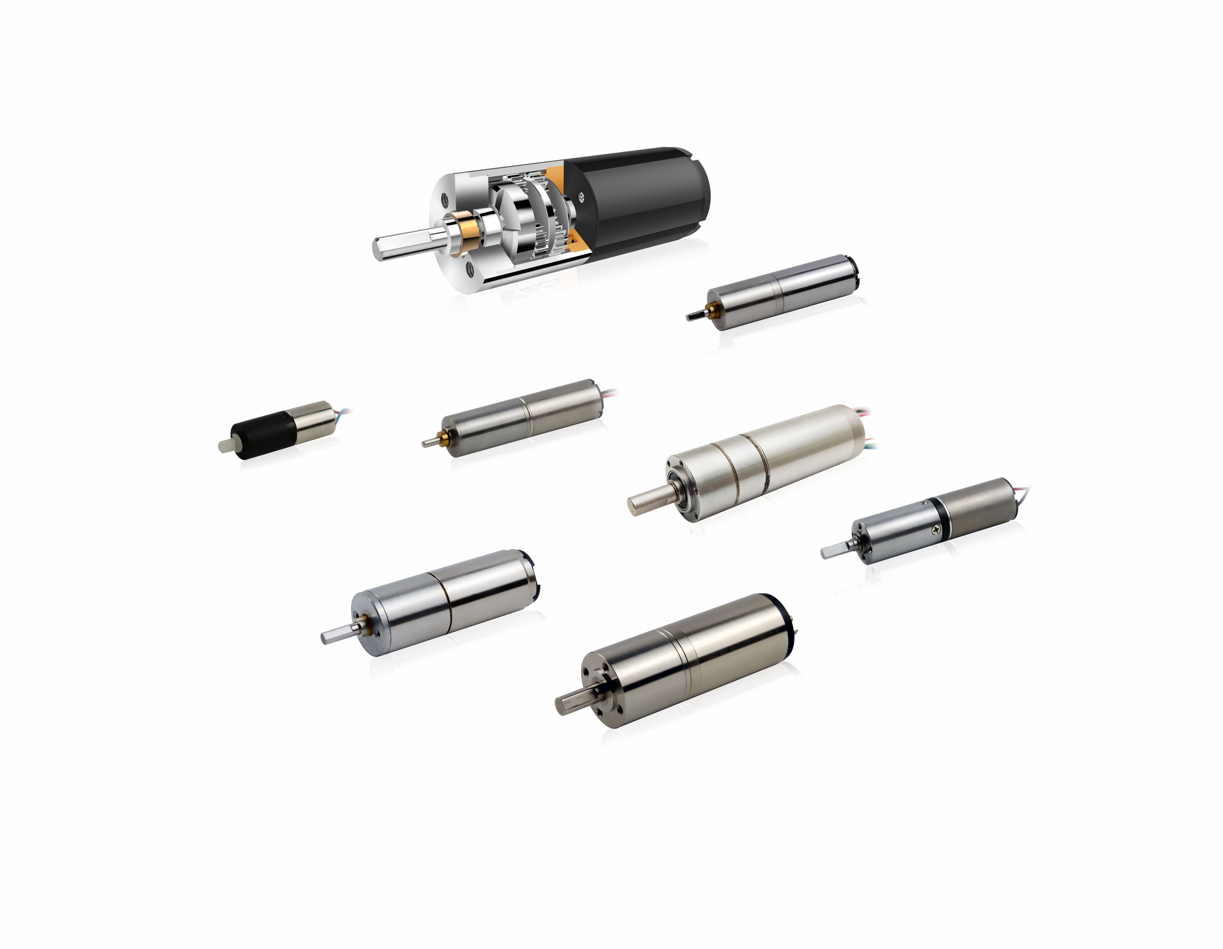 Precision Gear Motor
